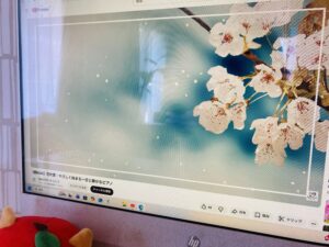 【転勤族妻のひとりごと】誰かといるより、一人の時間がとても好きという話。