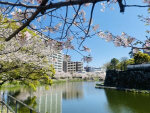 【大分駅周辺観光】お城を眺めながら桜を愛でるお花見スポット【大分城址公園】