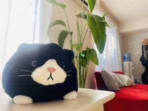 【自己紹介1】生まれも育ちも山口県、同窓会で出逢って結婚した40代夫婦の話。